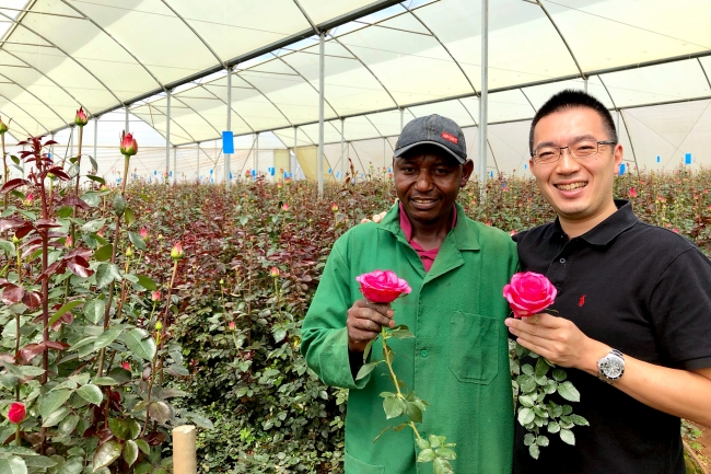 ä¸çã®è±å±ãã¼ããã¤ã¤ã¼å°æé¦å®ãã±ãã¢ã§éæããåããªããã©