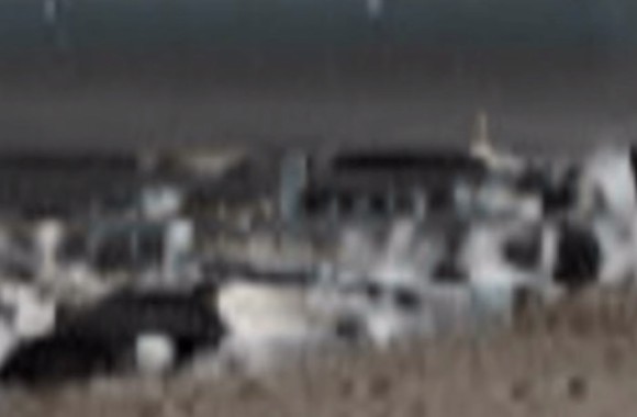 Numerous Unidentified Flying Objects Around The Moon Taken By Amateur Astronomers Nico Nico News