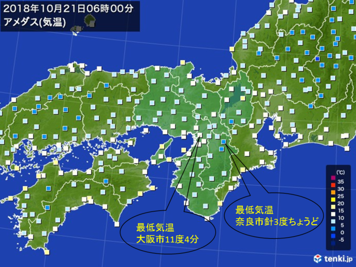 近畿 ミノムシの季節です ニコニコニュース