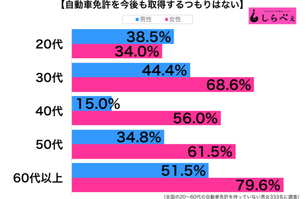 イメージカタログ 有名な 免許 持っ て ない 女