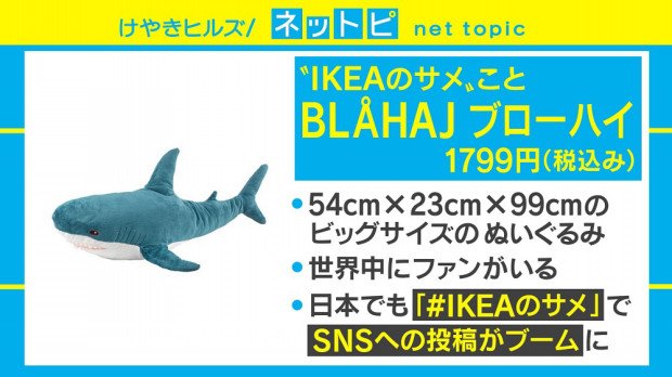 Ikeaのサメじゃ物足りない方に朗報 大人もすっぽり食べられちゃう