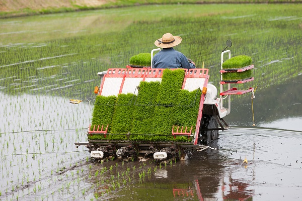 イメージ写真／Adobe Stock