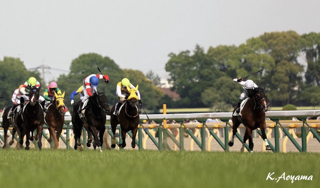 皐月 賞 レース 後 コメント