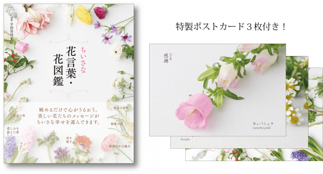 書籍 ちいさな花言葉 花図鑑 の限定版をamazon Co Jpにて発売 ニコニコニュース