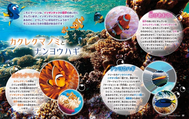世界各国で大人気 ディズニーでまなぼう シリーズ最新刊 ファインディング ドリー 海のいきもの 8月7日発売 ニコニコニュース