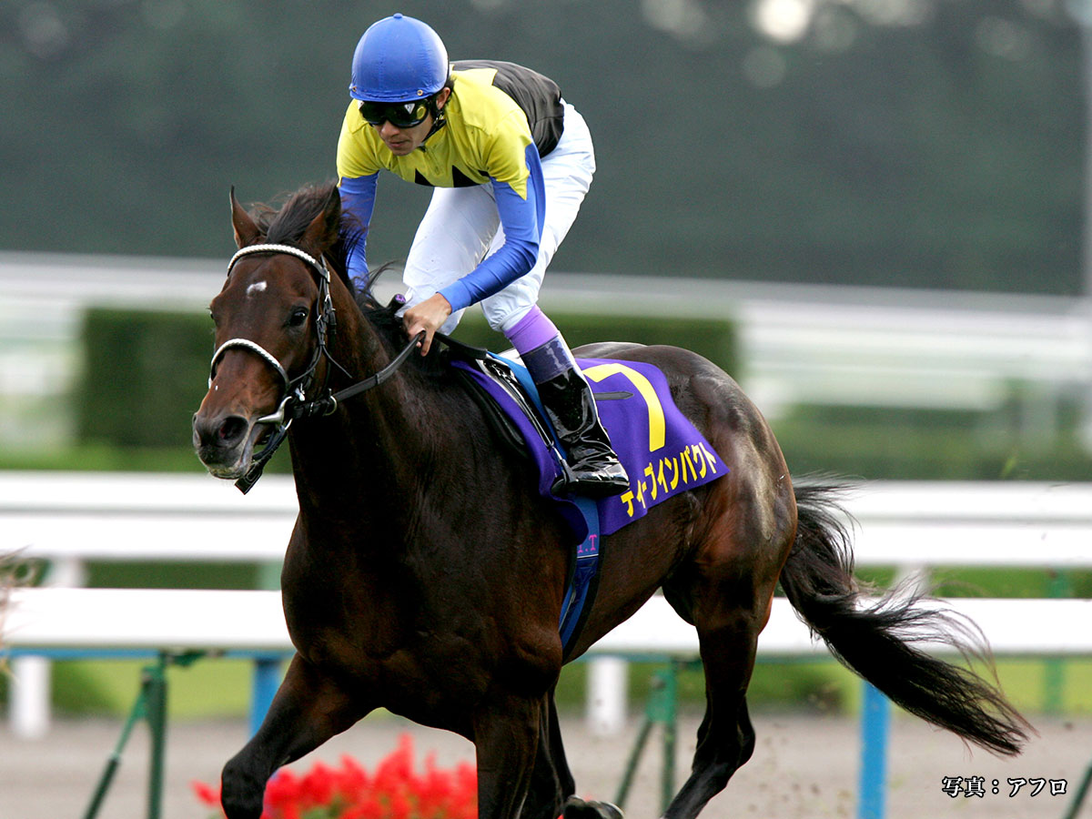 骨折だけで殺すとか 競走馬の安楽死を否定する人に知ってほしい思い ニコニコニュース