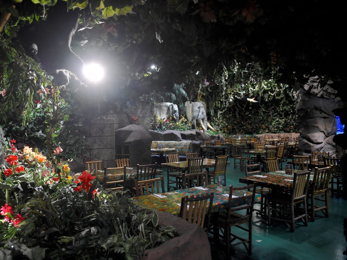 イクスピアリ ジャングル 優待ご飯 クリレス イクスピアリのレインフォレストカフェに行ってきました