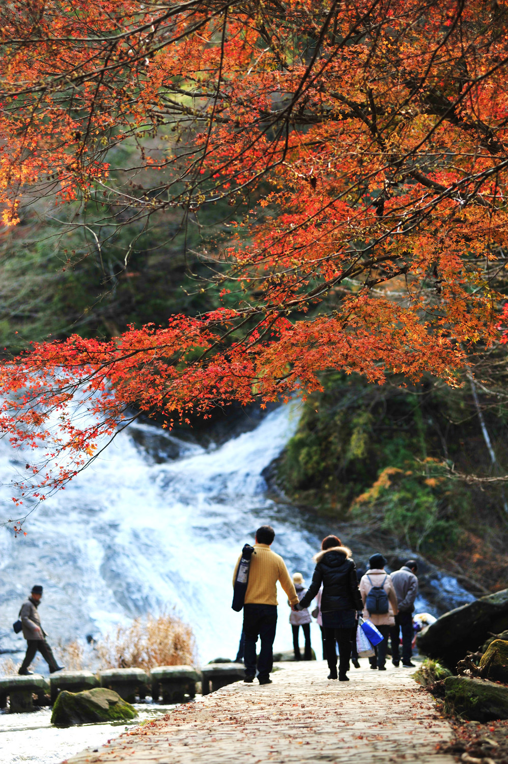 全国紅葉の絶景 最後まで楽しめる本州一遅い紅葉 千葉県の紅葉人気スポット ニコニコニュース