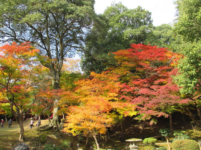 今が見頃 島根県 岡山県 広島県の紅葉観賞 おすすめスポット4選 ニコニコニュース