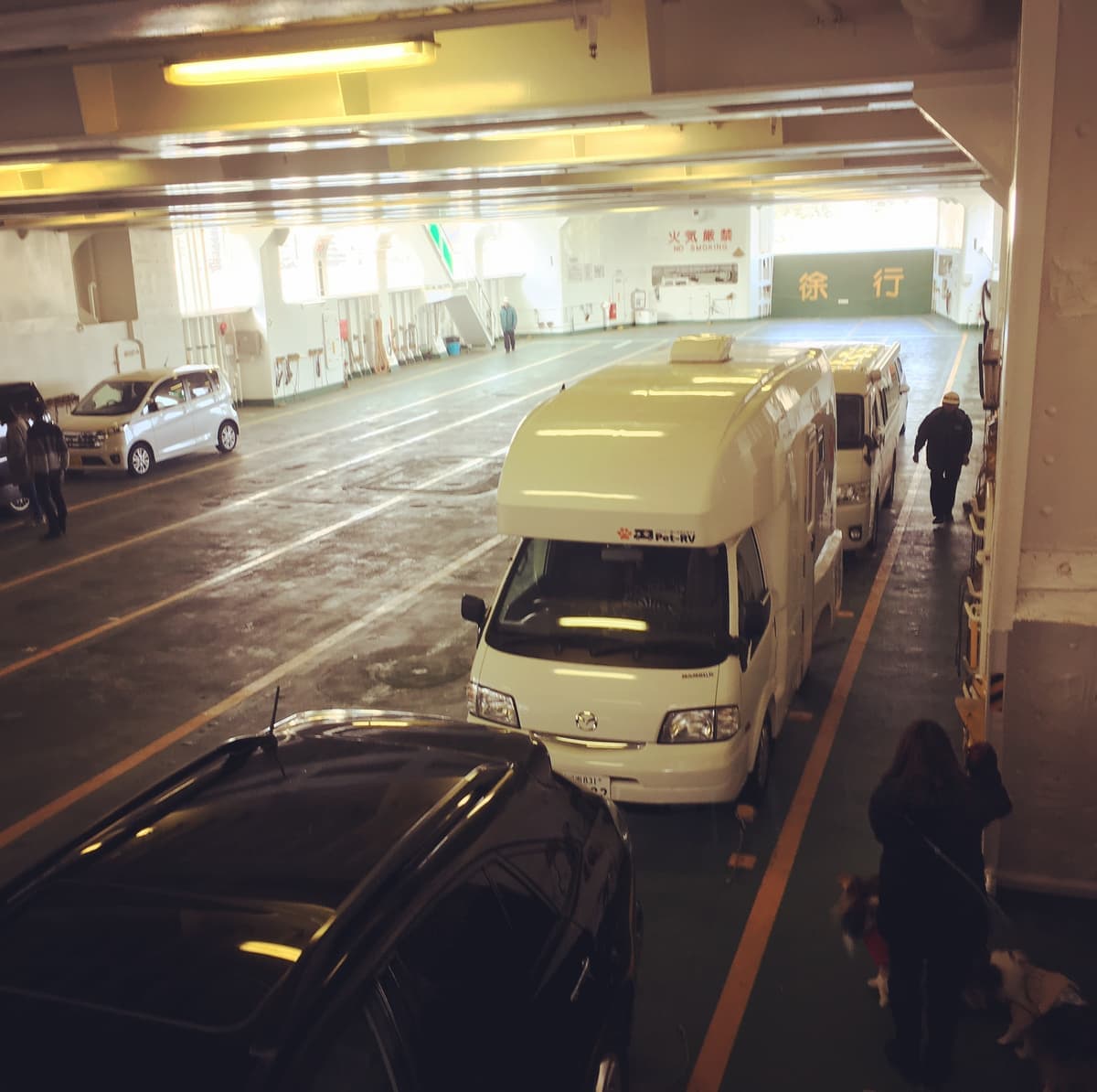 キャンプ場やフェリーでもペット同伴OK