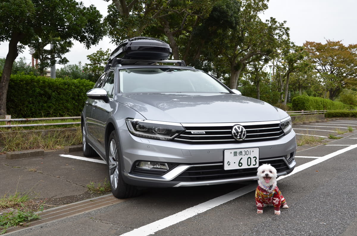 キャンプ場やフェリーでもペット同伴OK