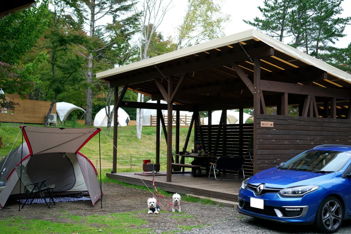 キャンプ場やフェリーでもペット同伴OK