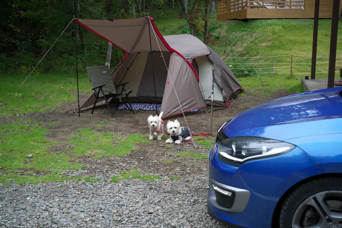 キャンプ場やフェリーでもペット同伴OK