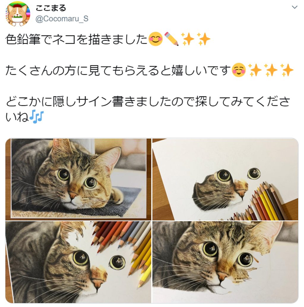 上色鉛筆 目 イラスト リアル 無料イラスト集