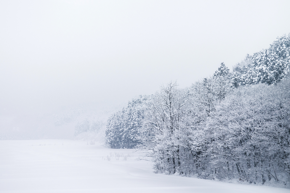 風景画 青森雪景色 M10号-