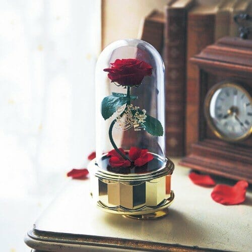 名曲 Beauty And The Beast が流れる ベルメゾン ニコニコニュース
