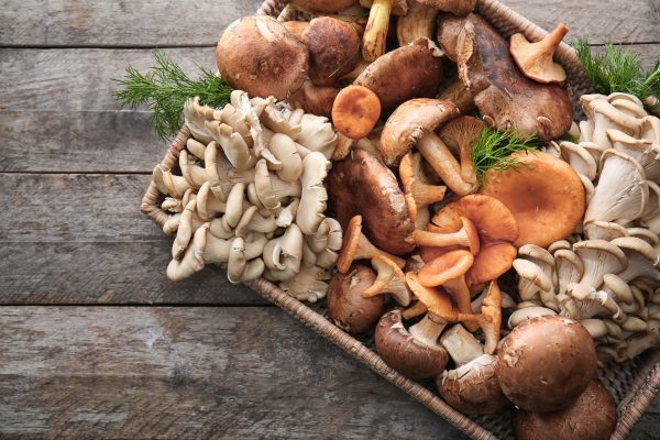 Mushrooms （Africa Studio/Shutterstock）