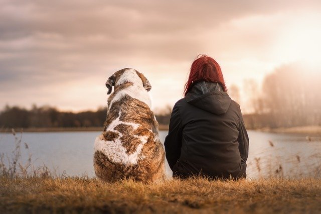 犬と飼い主