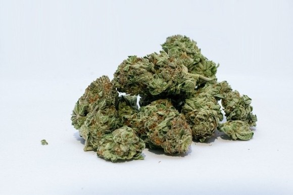 苦笑 大麻と思っていた葉っぱなんと パセリ だった 騙された男性が警察署へ駆け込み 売人を訴えたい 今とれニュース速報