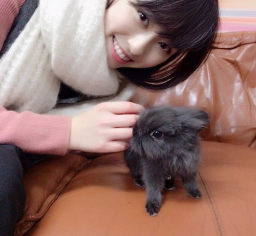 福原遥とうさぎの Wかわいい 2ショット ニコニコニュース