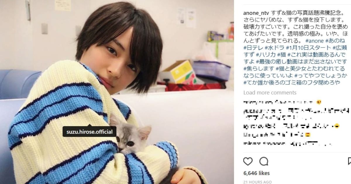 猫を抱く広瀬すずが美少女すぎると話題 猫になりたい の声続出 ニコニコニュース