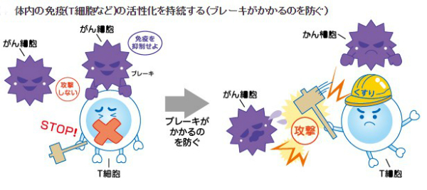 注目のがん免疫療法 専門家は 有効なものはわずか と警鐘 オプジーボも万能でない ニコニコニュース