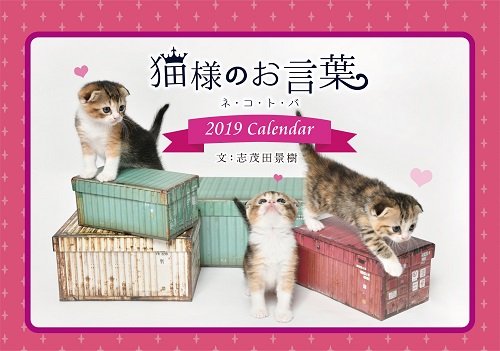 志茂田景樹氏の心に響く名言 かわいい子猫写真集の卓上カレンダー 猫様のお言葉 ニコニコニュース