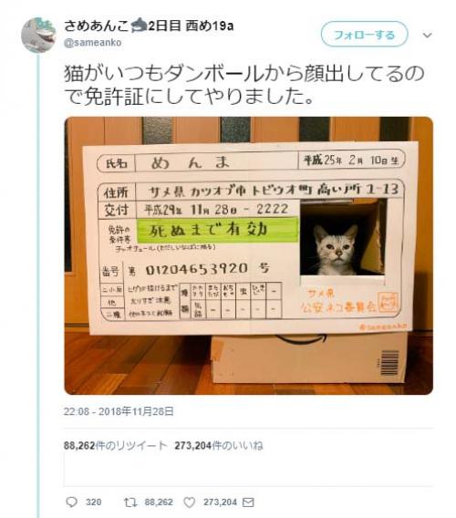 最も共有された なめ 猫 免許 証 販売