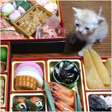 おせちに飽きたら「ご飯とみそ汁」  ニコニコニュース