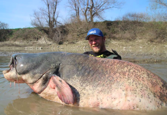 巨大ナマズゲットだぜ 約2 8メートルのナマズを釣り上げた男性 イタリア ニコニコニュース