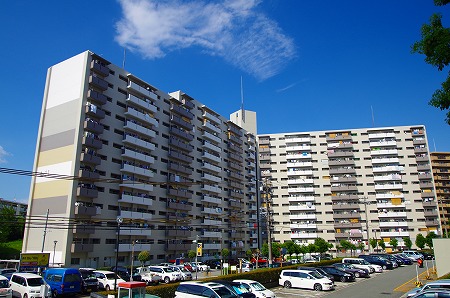 部屋の中に豊かな空間を生み出す シマ がある 公社の新しい団地リノベーションが誕生 ニコニコニュース