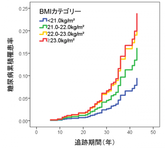 青年期のbmiが22kg 平方メートル以上で将来の糖尿病発症リスクが高まる ニコニコニュース