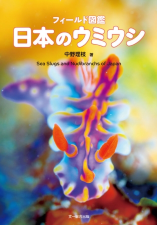 今年の夏休みはウミウシを捜しに行こう かわいくてきれいで神秘的な海の生物 ウミウシ の初心者向け図鑑の決定版 フィー ニコニコニュース