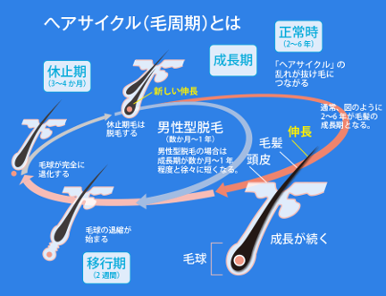 秋は抜け毛の季節 抜け毛対策に重要なケア３選 ニコニコニュース