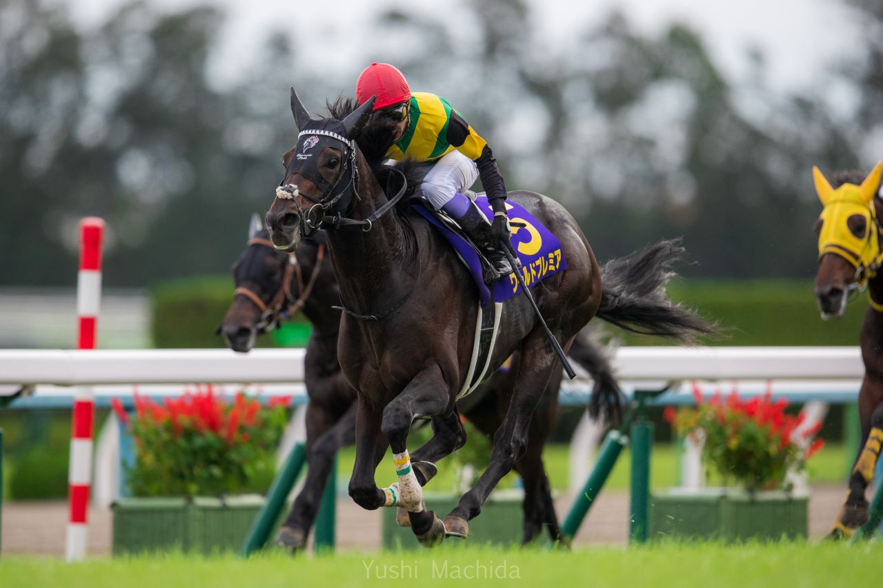 皐月 賞 レース 後 コメント