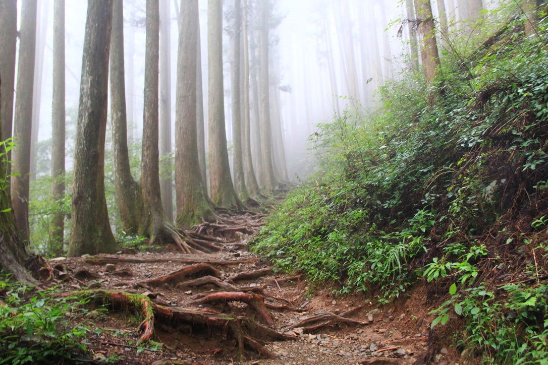 これぞ東京の秘境 1972年に廃村になった奥多摩山中の 峰集落 へ行ってみた 社会生活まとめ