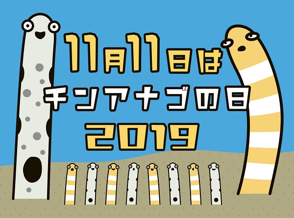 京都水族館 チンアナゴの魅力や生態に迫るイベント １１月１１日はチンアナゴの日 ２０１９ を開催 ニコニコニュース