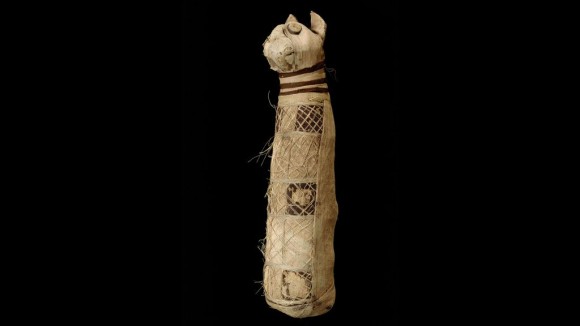 古代エジプトの猫のミイラの中身をctスキャン 3匹の猫の体の部位が入っていたことが判明 フランス研究 ニコニコニュース