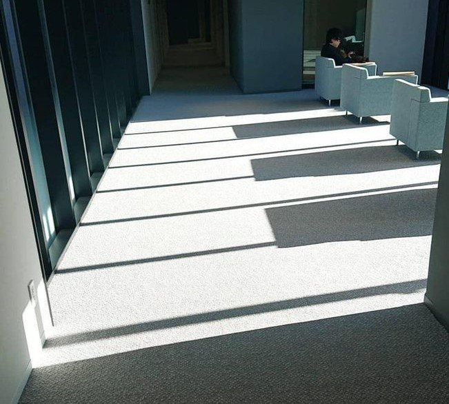 光と影が描く ピアノの鍵盤 偶然が生んだアート 音大キャンパスの