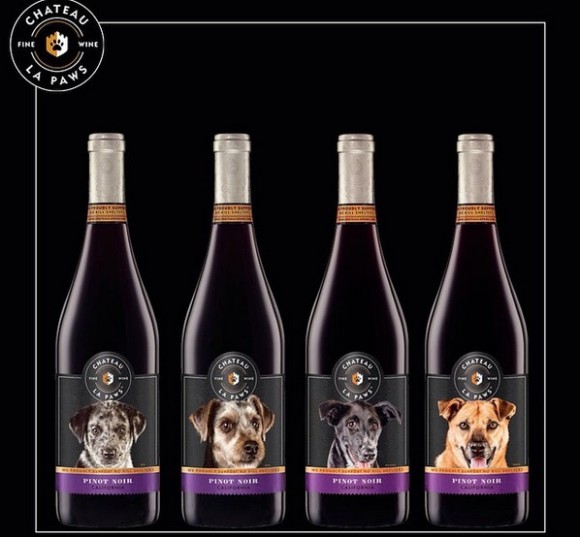 ビールに続いてワインも 老舗ワイン会社が犬のラベルをボトルに貼り保護犬探しを支援 アメリカ ニコニコニュース
