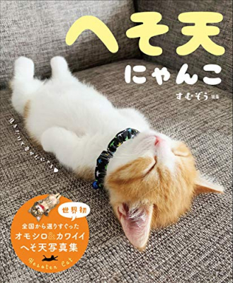 １位獲得中 シッポ 犬猫記事総合ランキング へそ天にゃんこ 編集すむぞう 世界初 ニコニコニュース