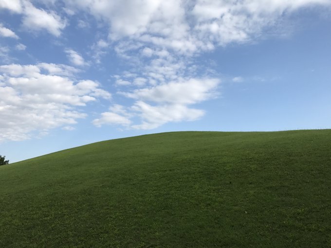 Windows Xpの壁紙そっくりな草原が都内で発見される ニコニコニュース
