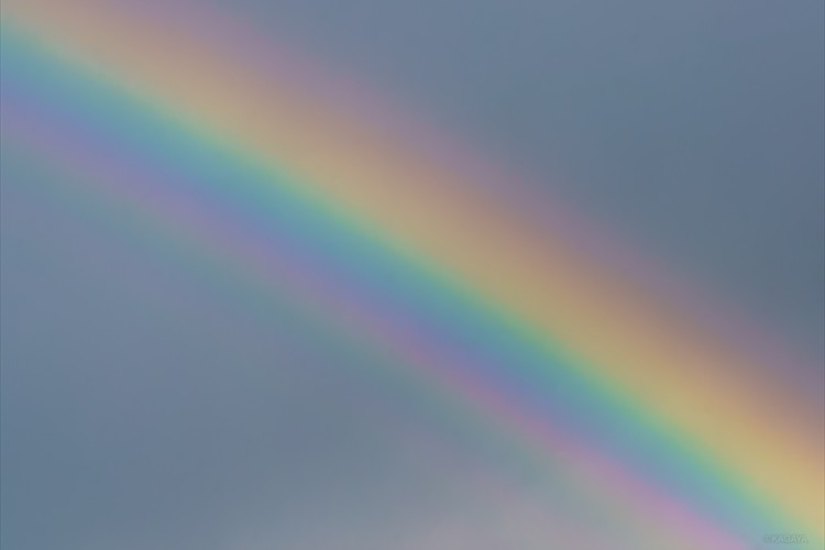 雨上がりの空にカラーパレット 七色以上の 過剰虹 が幻想的だと話題