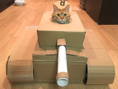 夫が急に作り始めた 自宅で建造された 猫用ダンボール戦車 に猫ちゃんも大満足 ミッチーの気まぐれ日記