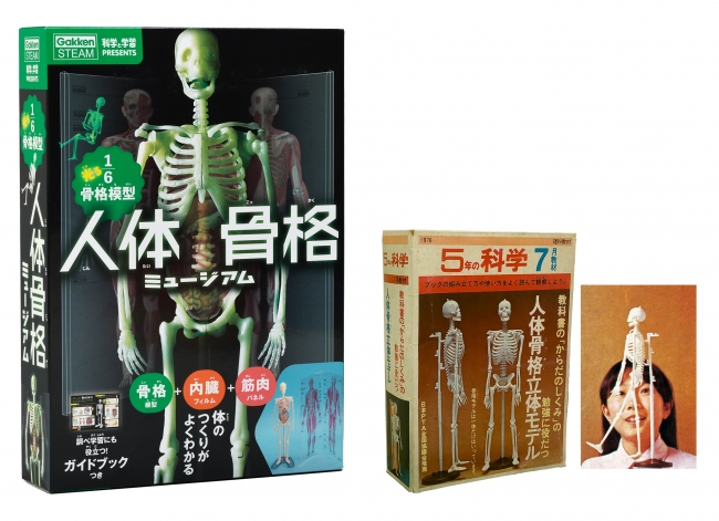 学研 科学と学習 の大人気ふろくだった 人体骨格模型 がリニューアル新発売 ニコニコニュース
