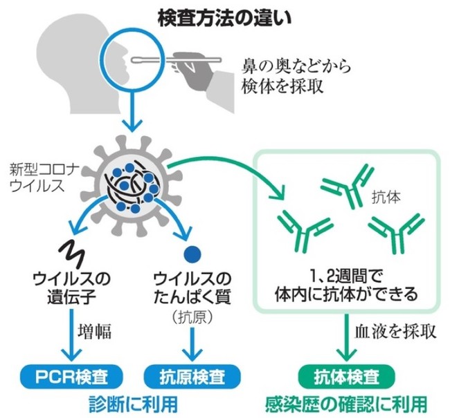 新型コロナウイルス抗原検査キット発売のお知らせ 抗原検査は手軽に現在感染しているかどうかわかる検査方法です 詳しくはc ニコニコニュース