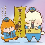 アマチュア 意味