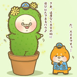サボテンの日とは サボテンノヒとは 単語記事 ニコニコ大百科