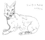 ジャングルキャット けものフレンズ とは ケモノフレンズノジャングルキャットとは 単語記事 ニコニコ大百科
