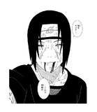 イタチとは 単語記事 ニコニコ大百科